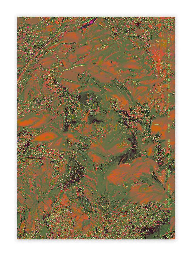 Poster 13